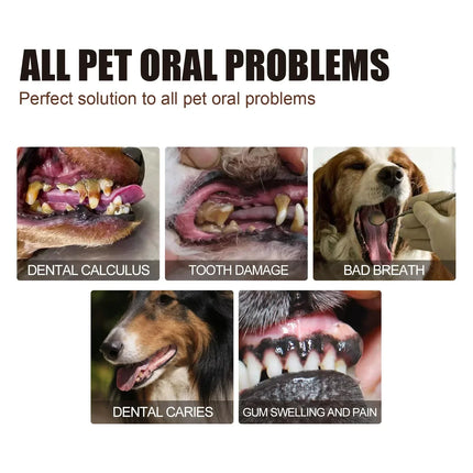 Zahnreinigungsspray Hunde Katzen 30ml Mundgeruch