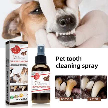 Zahnreinigungsspray Hunde Katzen 30ml Mundgeruch