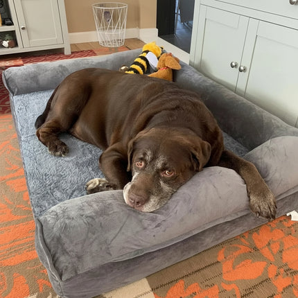 Hundebett, extra große orthopädische Haustiermatratze, Couch, Schlafbettkissen mit abnehmbarem, waschbarem Bezug, weicher Schwammschaum Fellnasenliebe123