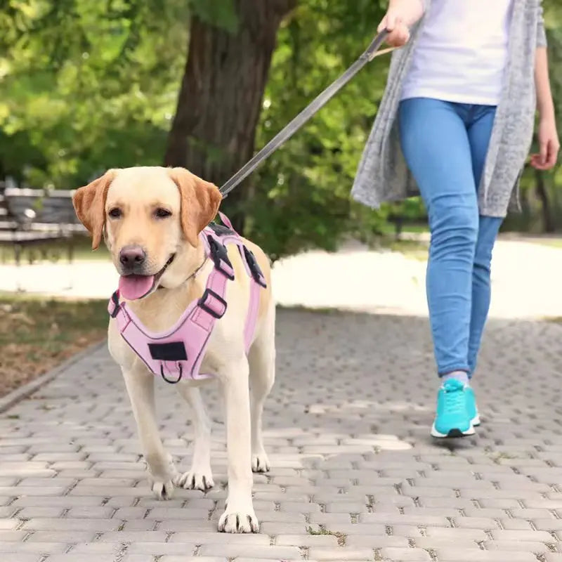 Anti-Zug Hundegeschirr mit Locator - Verstellbar für mittelgroße & große Hunde