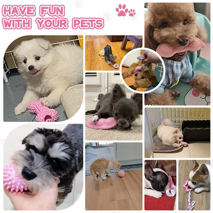 Kauspielzeug Set 3-teilig Hunde, Zahnreinigung