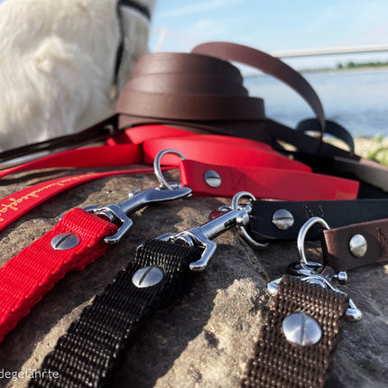 Schleppleine FERNWEH aus BioThane®/POP - Band