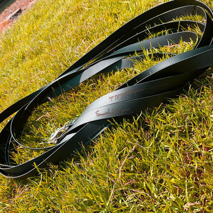 Doppel-Schleppleine FERNWEH aus BioThane®/POP - Band