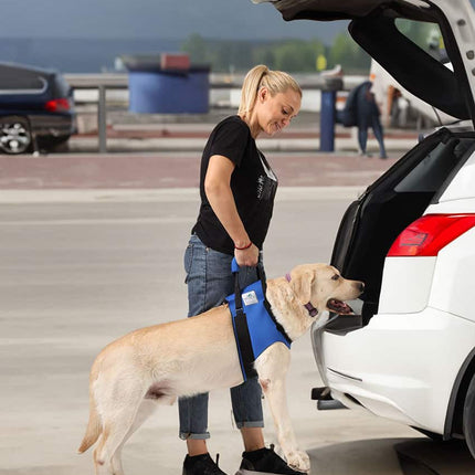 Vordere Tragehilfe für Hunde