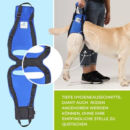 Hunde Tragehilfe hinten