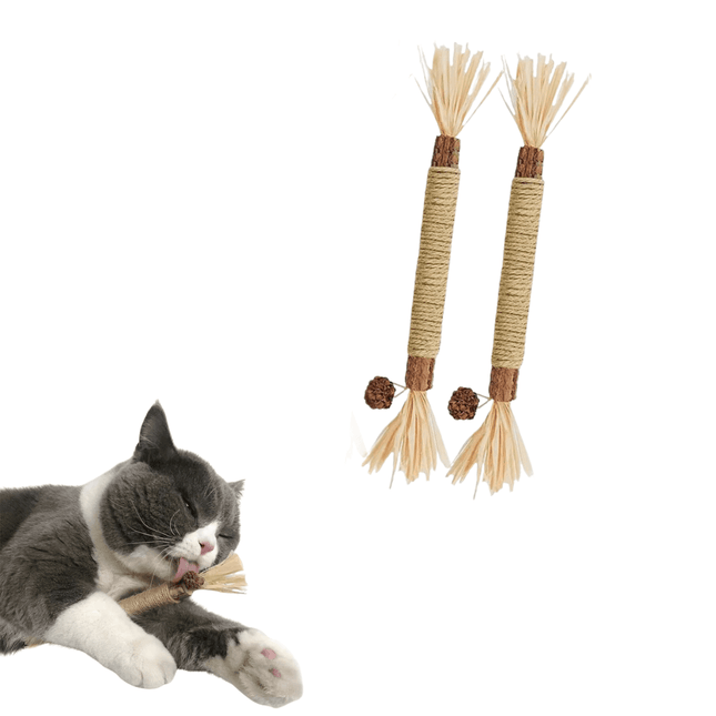 ZAHNLIEBE - Die Katzen Zahnpflege für gesunde Zähne