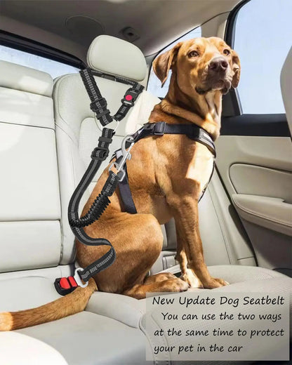 Hunde-Autositzgurt verstellbar - Sicherheitsgurt aus Nylon für große Hunde - Fellnasenliebe123