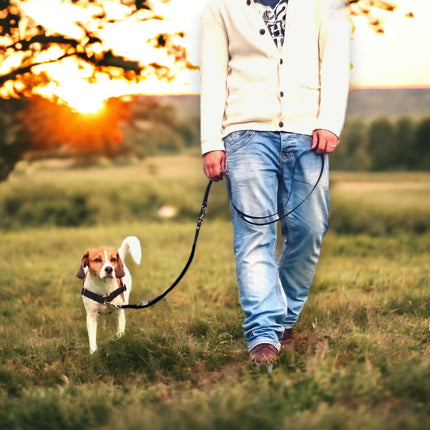 STURMFREI® Saver – Patentierte Front-Führung & Extra-Sicherung - für kleine bis mittlere Hunde