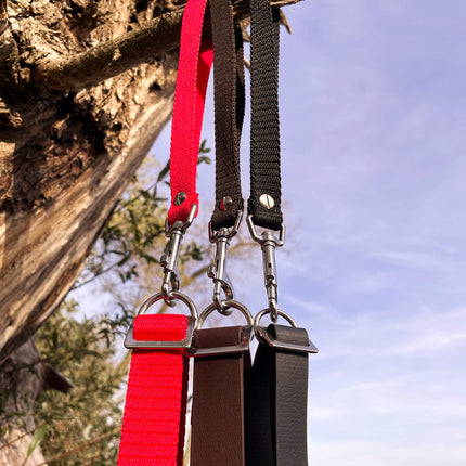 Doppelleine TECHTELMECHTEL aus BioThane®/Pop - Band