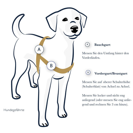 STURMFREI® Saver – Patentierte Front-Führung & Extra-Sicherung - für kleine bis mittlere Hunde