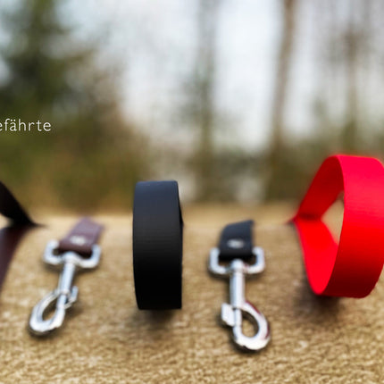 Hundeleine UM'S ECK (1,50 m) aus BioThane®/POP - Band