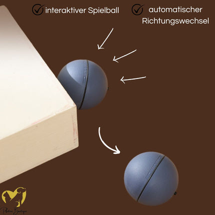 MAUSBALL - interaktives Katzenspielzeug, Ball für Katzen, Selbstbeschäftigung & Bewegung