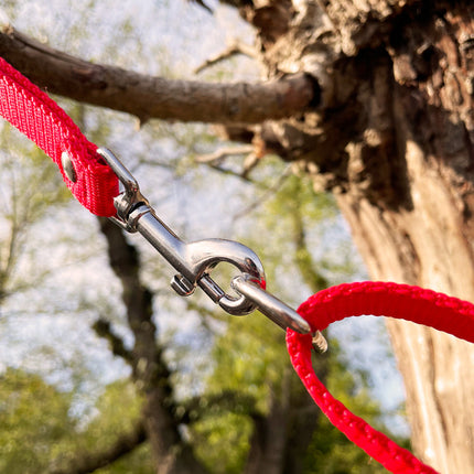 Doppelleine TECHTELMECHTEL aus BioThane®/Pop - Band