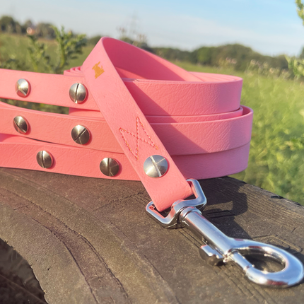 Hundeleine UM'S ECK (1,50 m) aus BioThane®/POP - Band