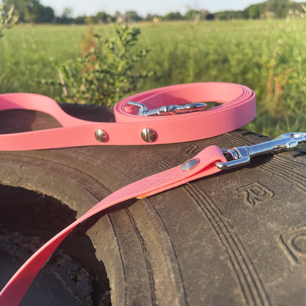 Hundeleine UM'S ECK (1,50 m) aus BioThane®/POP - Band