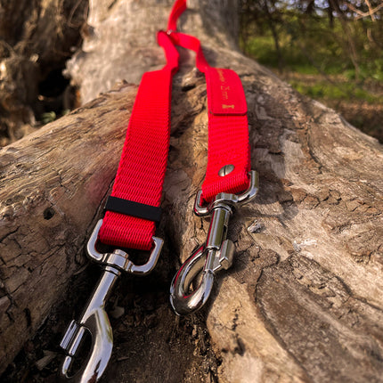 Doppelleine TECHTELMECHTEL aus BioThane®/Pop - Band